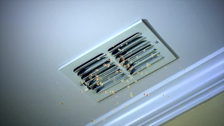 Affordable HVAC Duct Cleaning in KY