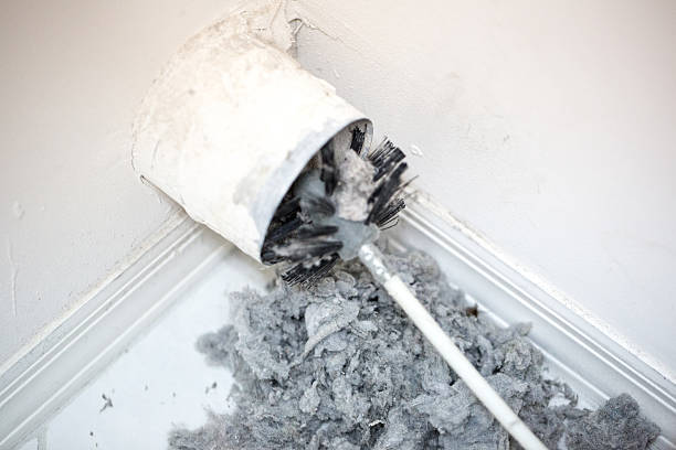 Air Duct Mold Removal in KY